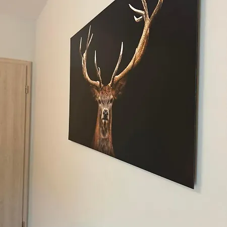 Appartement Cervus à Durbuy Extérieur photo
