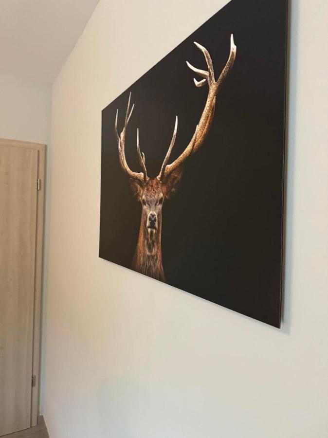 Cervus * Durbuy